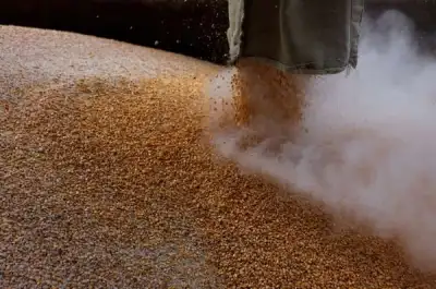 Image for Kremlin says sanctions must be lifted for Russian grain to reach markets
