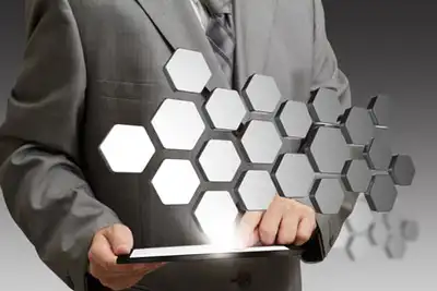 Image for MANAGING THE INSIDER THREAT