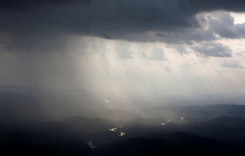 Image for France’s BNP to stop financing firms farming deforested land in the Amazon