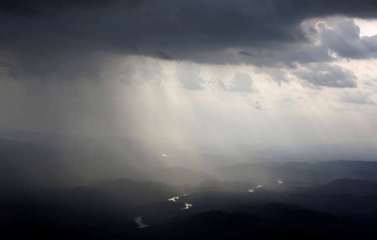 Image for France’s BNP to stop financing firms farming deforested land in the Amazon