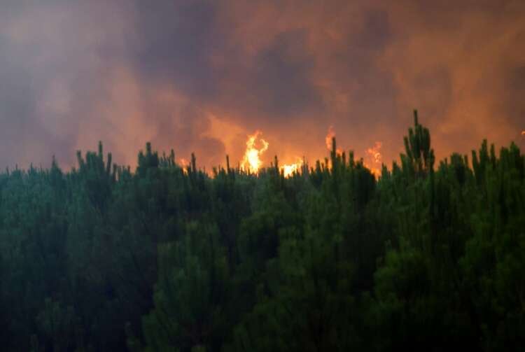 Firefighters battling a massive wildfire in Gironde, France, amid extreme heat - Global Banking & Finance Review