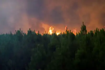 Image for France battles ‘monster’ wildfire as heatwaves scorch Europe