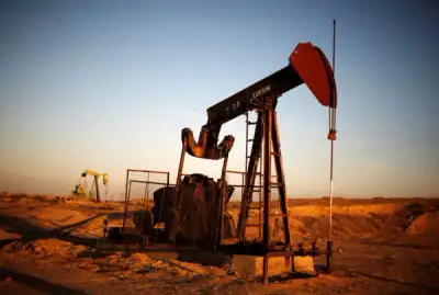 Image for Hedge funds bet on oil’s ‘big comeback’ after pandemic hobbles producers