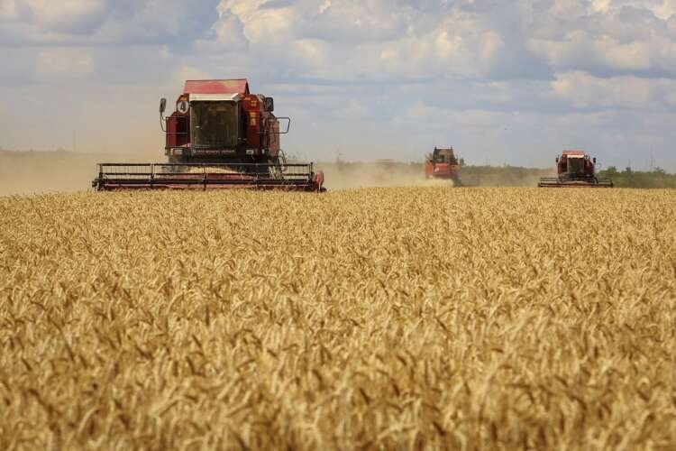 Image for Ukraine works to resume grain exports, Russian shells targets in east