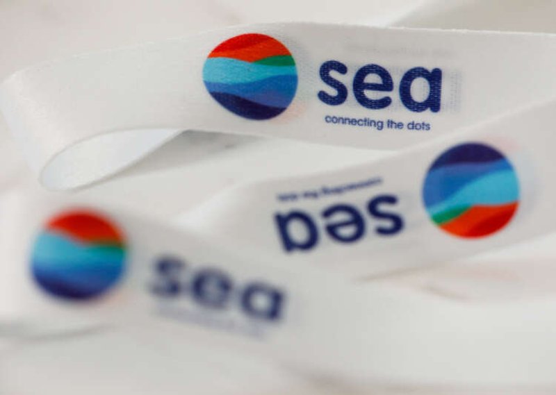 Image for Sea seeks $6.3 billion in one of Southeast Asia’s biggest fundraisings