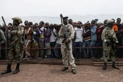 Image for European Parliament seeks freeze on EU aid to Rwanda over Congo conflict