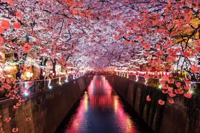 Image for Japan's cabinet approves record $730 billion budget for next fiscal year