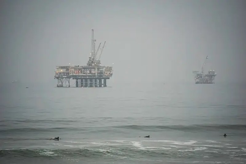 Image for Steve Ziemke: Pioneering Success at Gulf Coast Western