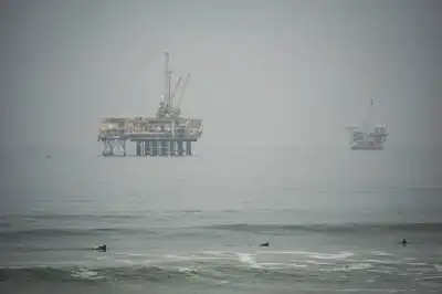 Image for Steve Ziemke: Pioneering Success at Gulf Coast Western