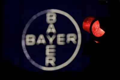 Image for Bayer says 2025 earnings could decline further on bleak agriculture outlook