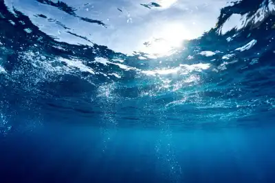 Image for Banking the Blue Economy: Why Ocean Finance Is Becoming Central to Climate Investment Strategies