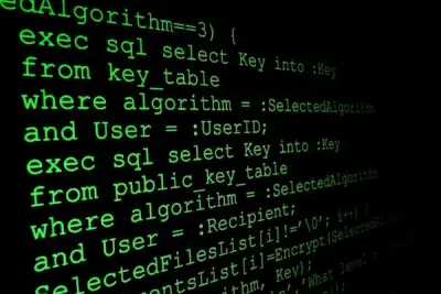 Image for Building security from the ground up to avoid data breaches and tackle cybercrime in FinTechs