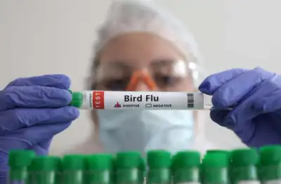 Image for Flu experts gather with H5N1 risk on the agenda