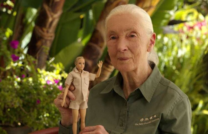 Image for Primatologist Jane Goodall gets Barbie doll in her likeness