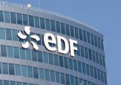 Image for EDF capital increase to take place in coming weeks, CEO says