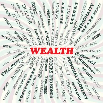 Image for FINANCIAL SERVICES FOR THE NON-WEALTHY