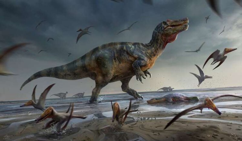 Image for Europe’s largest meat-eating dinosaur found on Isle of Wight