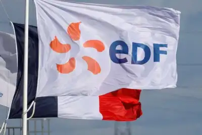 Image for EDF issues fourth profit warning as nuclear output drops