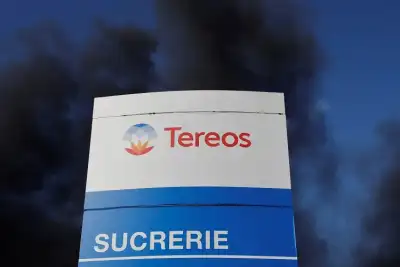 Image for Tereos warns of more trouble ahead after low sugar prices cut H1 results