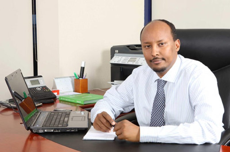 Image for FDI in Africa: From a trickle to a flood