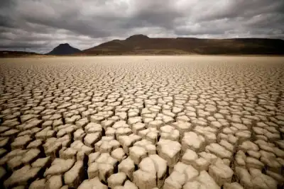 Image for Ride a Green Swan: central banks grapple with climate risk