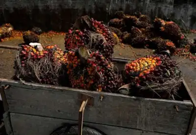 Image for Global food makers, retailers remain in crisis mode