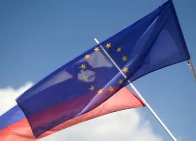 Image for EU presidency calls for crisis meeting on Afghanistan