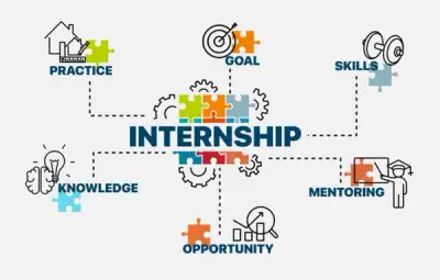 Image for How internships impact society