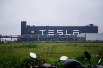 Image for Tesla Shanghai plant restores weekly output to 70% of pre-lockdown level -sources