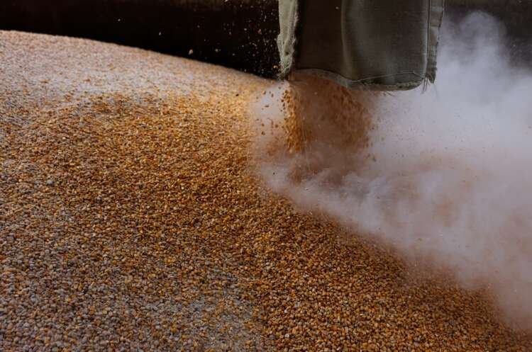 Image for High hopes Lavrov visit to Turkey unlocks Ukraine grain exports, Turkish source says