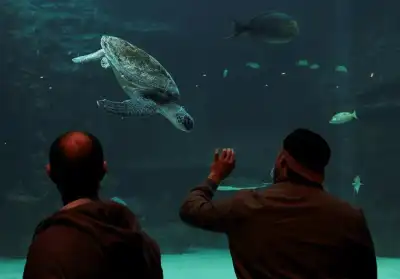 Image for Exclusive-African countries eye world’s first joint ‘debt-for-nature’ swap