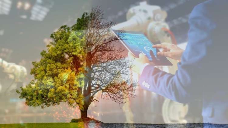 Image for How automation helps to fight climate change