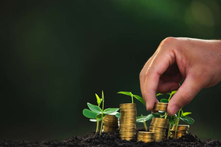 Image for What’s stopping ESG in pension planning?