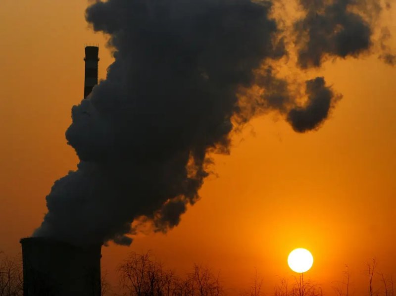 Image for Companies get green light to use offsets for supply chain emissions