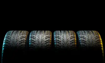 Image for Smart Tires and Sustainable Innovations Propel Global Forestry Equipment Tire Market to US$2.5 Billion by 2034