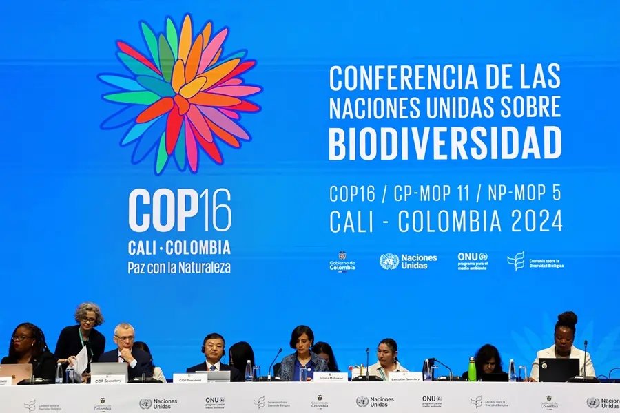 Delegates at UN COP16 biodiversity summit discussing extinction risks - Global Banking & Finance Review