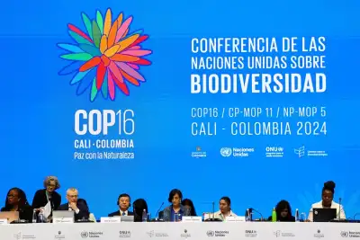 Image for As UN COP16 nature talks are gridlocked, scientists warn of extinction risks