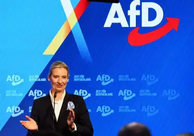 Image for Germany's election in graphics