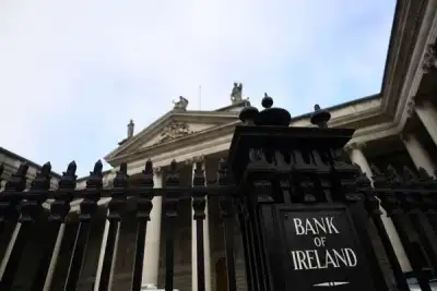 Image for Bank of Ireland expects modest income growth this year