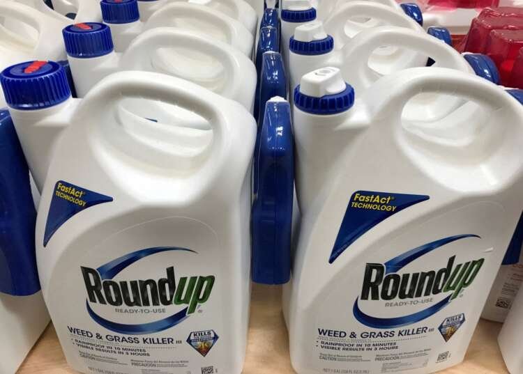 Bayer's Roundup weedkiller product displayed for sale in California - Global Banking & Finance Review