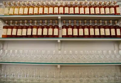 Image for Hennessy workers strike as France’s Macron urges Xi to drop China cognac tariffs