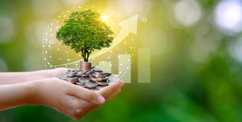 Image for The rise of sustainable and socially responsible investing