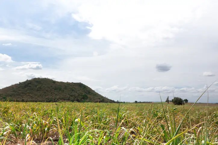 Image for Premiumization & Authenticity Drive Rhum Agricole Market to $2.35 Billion by 2034