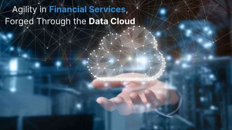 Image for Agility in Financial Services, Forged Through the Data Cloud