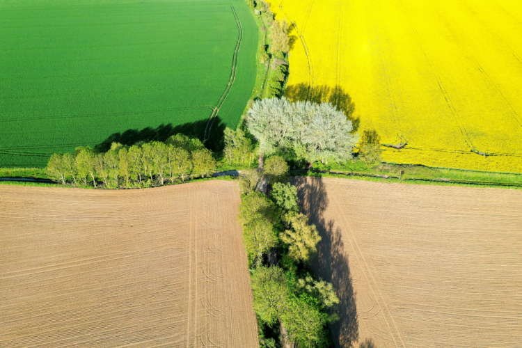 Image for EU to finalise huge farm policy overhaul; climate groups cry foul
