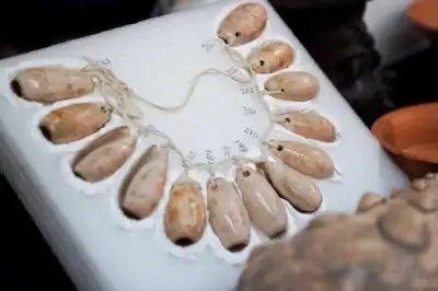 Image for Below a pyramid, a treasure trove sheds new light on ancient Mexican rites