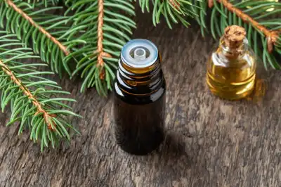 Image for Rising Demand for Natural Wellness Fuels Hinoki Oil Market Growth to $391.9 million by 2034