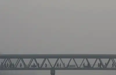 Image for Big companies’ emissions goals are too weak, report says