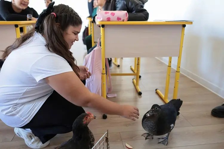 Veterinarian Oana Vasiliu with a rescue hen and duck in a Romanian classroom - Global Banking & Finance Review