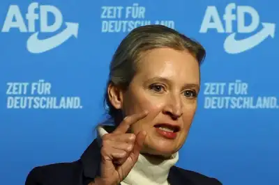 Image for AfD leader's Hungary invite shows erosion of German far-right party's isolation